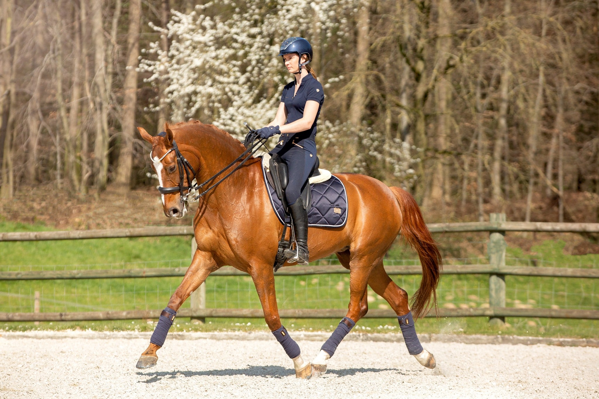 The Best Colour Browband to Use on a Chestnut Horse