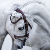 'Delaney' leather bridle (Lumi Pony)