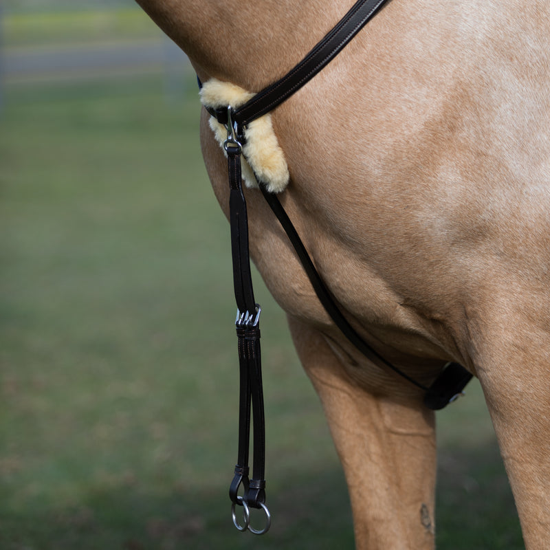 'Antiqua' 5-Point Leather Breastplate