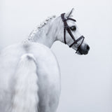 'Delaney' leather bridle (Lumi Pony)