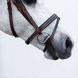 'Delaney' leather bridle (Lumi Pony)