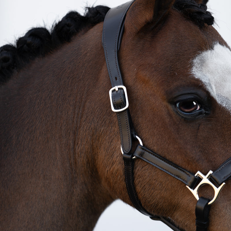 'Alize' leather halter (Lumi Pony)