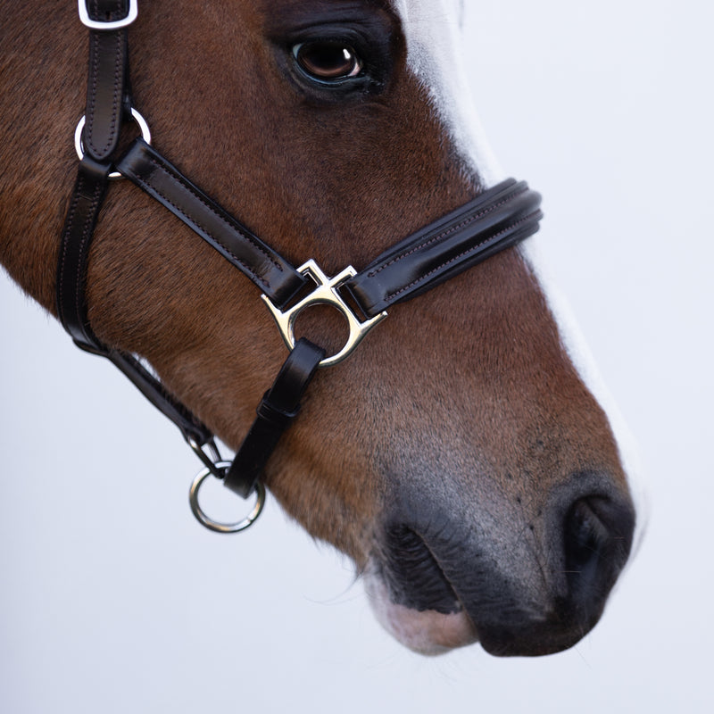 'Alize' leather halter (Lumi Pony)