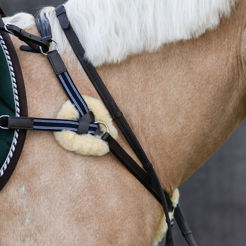 'Antiqua' 5-Point Leather Breastplate