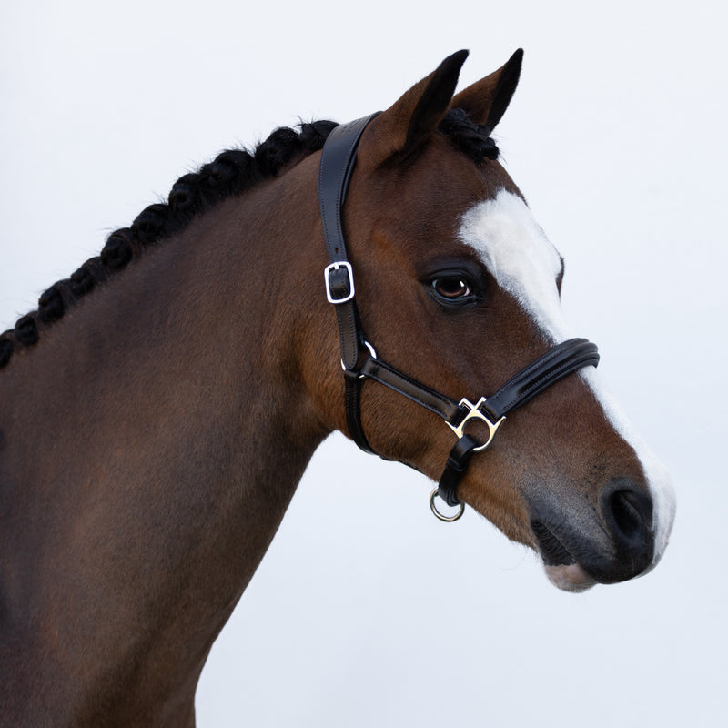 'Alize' leather halter (Lumi Pony)