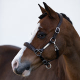 'Alize' leather halter (Lumi Pony)