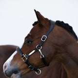 'Alize' leather halter (Lumi Pony)