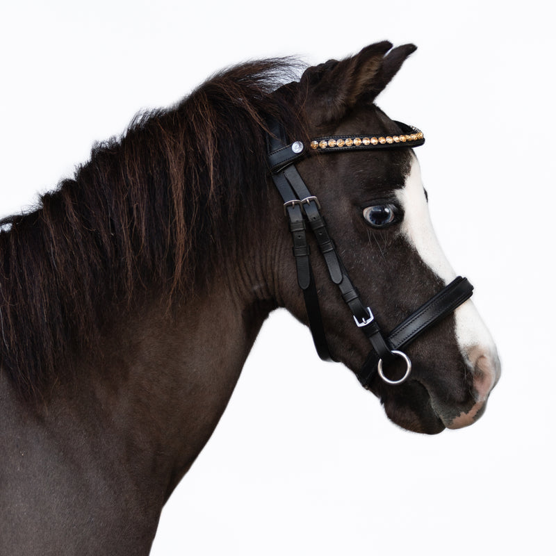 Iddy Biddy Bitless bridle (Lumi Pony)