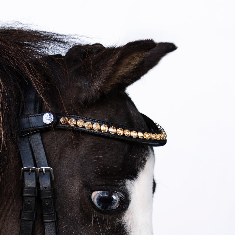 Iddy Biddy Bitless bridle (Lumi Pony)