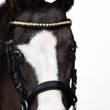 Iddy Biddy Bitless bridle (Lumi Pony)