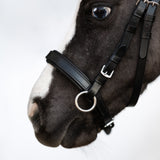 Iddy Biddy Bitless bridle (Lumi Pony)