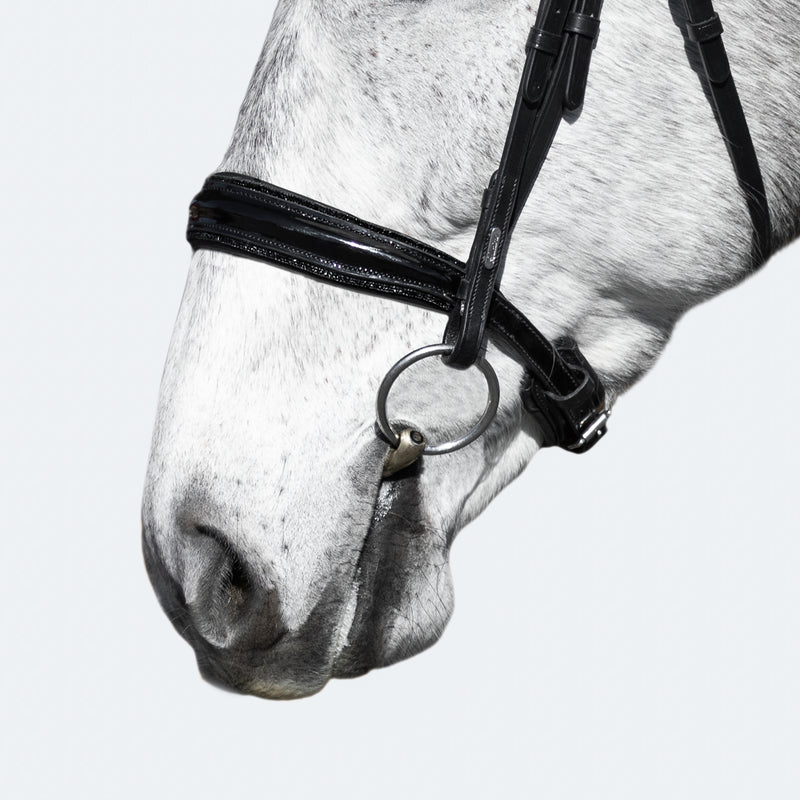 'Arcadia' Luxury Leather Bridle (Cavesson)