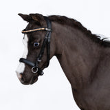 Iddy Biddy Bitless bridle (Lumi Pony)