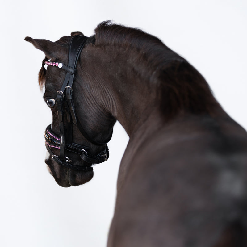 Fairyfloss bridle (Lumi Pony)