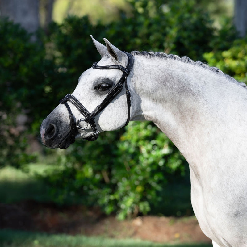 'Milan' leather bridle (convertible) (Lumi Pony)