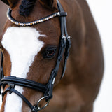 'Megan' convertible leather bridle (Lumi Pony)