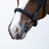 'Megan' convertible leather bridle (Lumi Pony)