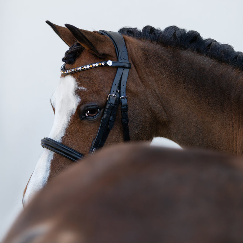 'Megan' convertible leather bridle (Lumi Pony)