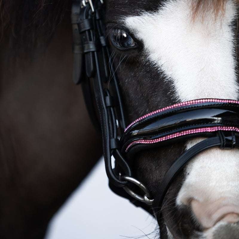 Fairyfloss bridle (Lumi Pony)