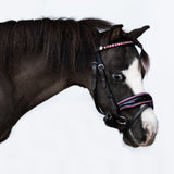 Fairyfloss bridle (Lumi Pony)