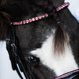 Fairyfloss bridle (Lumi Pony)