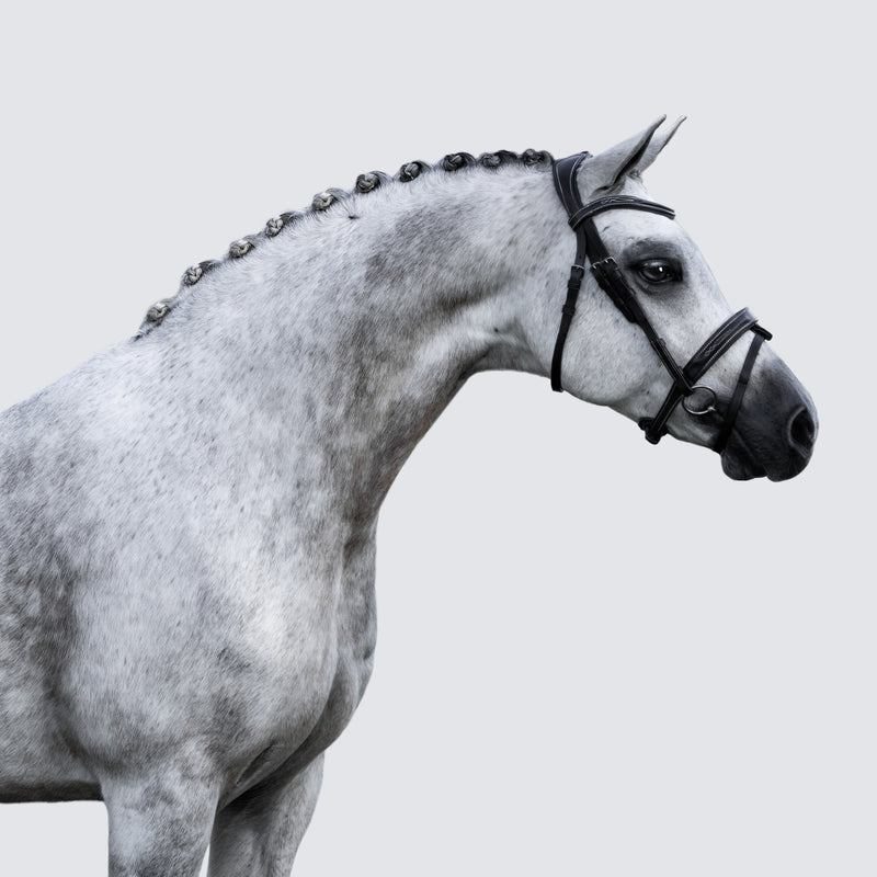 'Milan' leather bridle (convertible) (Lumi Pony)