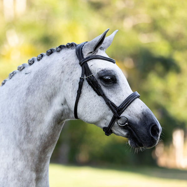 'Milan' leather bridle (convertible) (Lumi Pony)