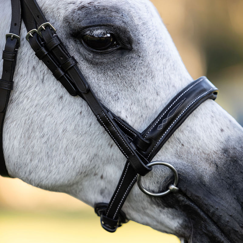 'Milan' leather bridle (convertible) (Lumi Pony)