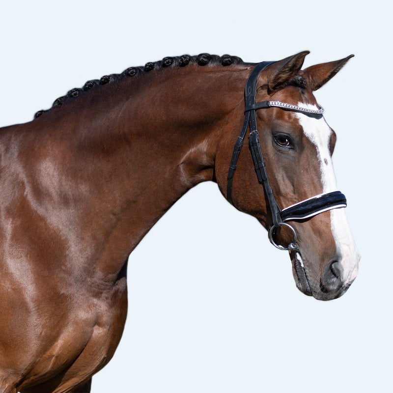 'Adeline' Leather Bridle (Cavesson)