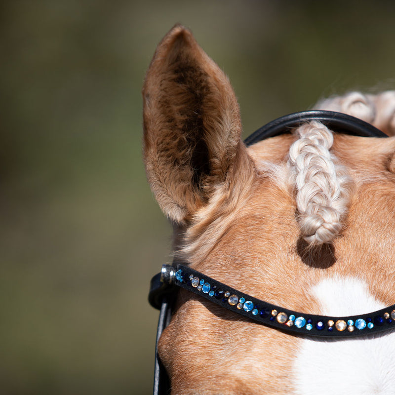 Demi crystal browband (Lumi Pony)