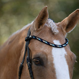 Demi crystal browband (Lumi Pony)