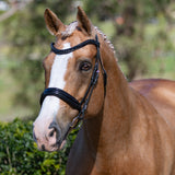 'Arcadia' Luxury Leather Bridle (Cavesson)