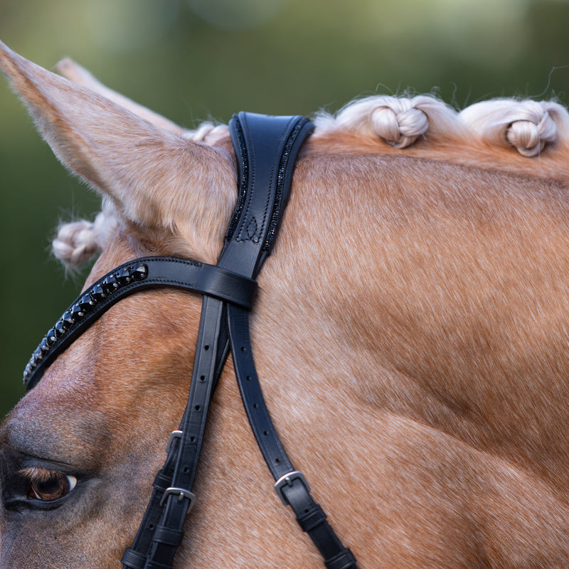 'Arcadia' Luxury Leather Bridle (Cavesson)