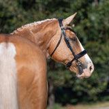 'Arcadia' Luxury Leather Bridle (Cavesson)