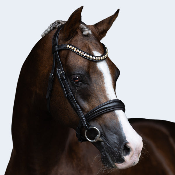 'Athens' leather bridle (snaffle) (Lumi Pony)