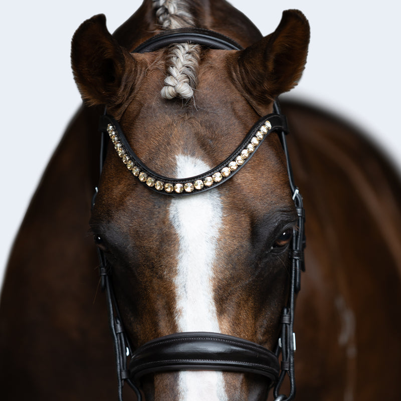 Iddy Biddy browband (Lumi Pony)