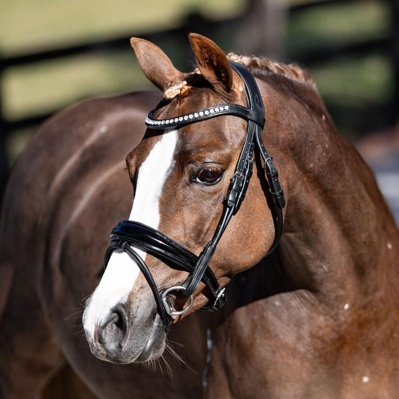 'Aurelie' Rolled Leather Bridle (Hanoverian) (Lumi Pony)