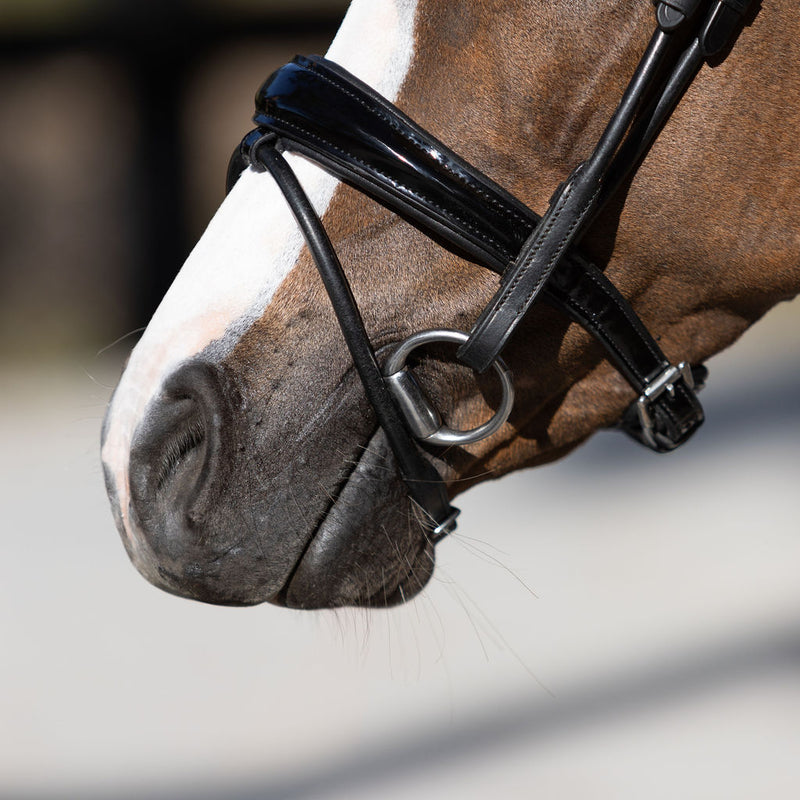 'Aurelie' Rolled Leather Bridle (Hanoverian) (Lumi Pony)