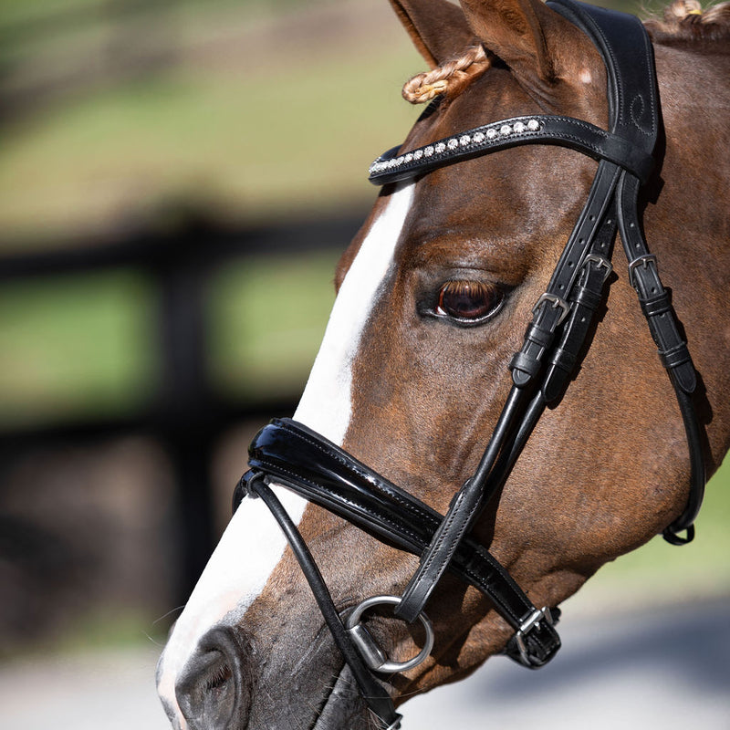 'Aurelie' Rolled Leather Bridle (Hanoverian) (Lumi Pony)