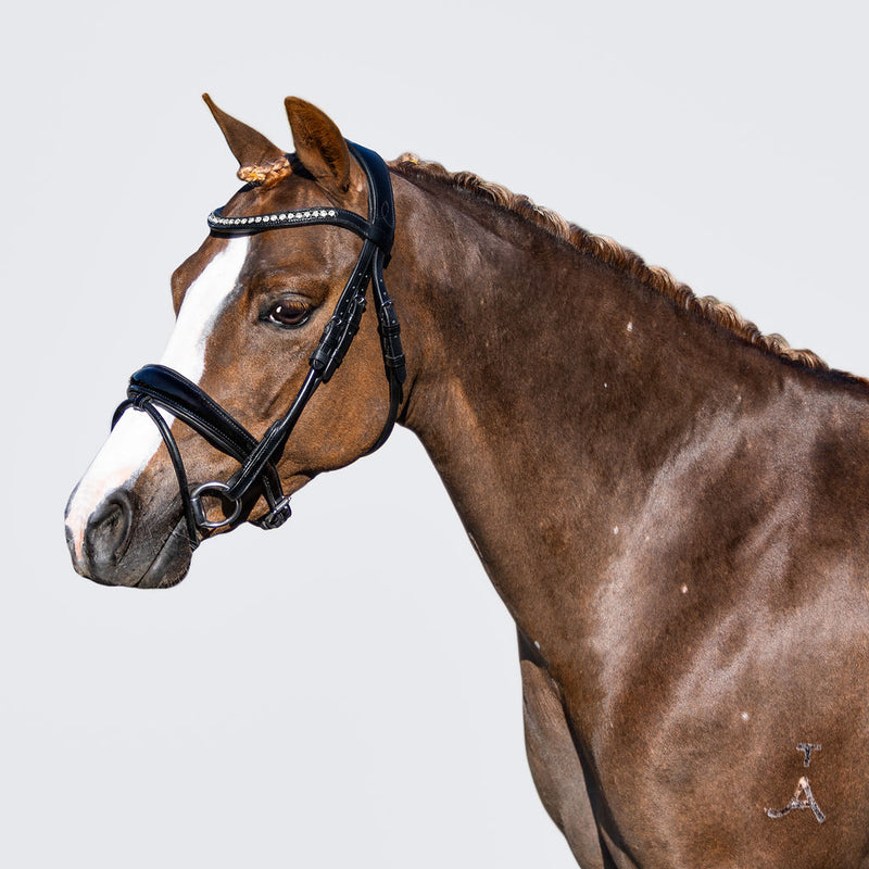 'Aurelie' Rolled Leather Bridle (Hanoverian) (Lumi Pony)