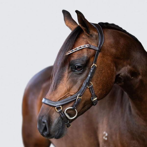 'Amber' Anatomic Leather Bridle (Lumi Pony) Clearance