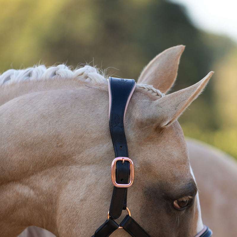 'Hollywood' leather halter (Lumi Pony)