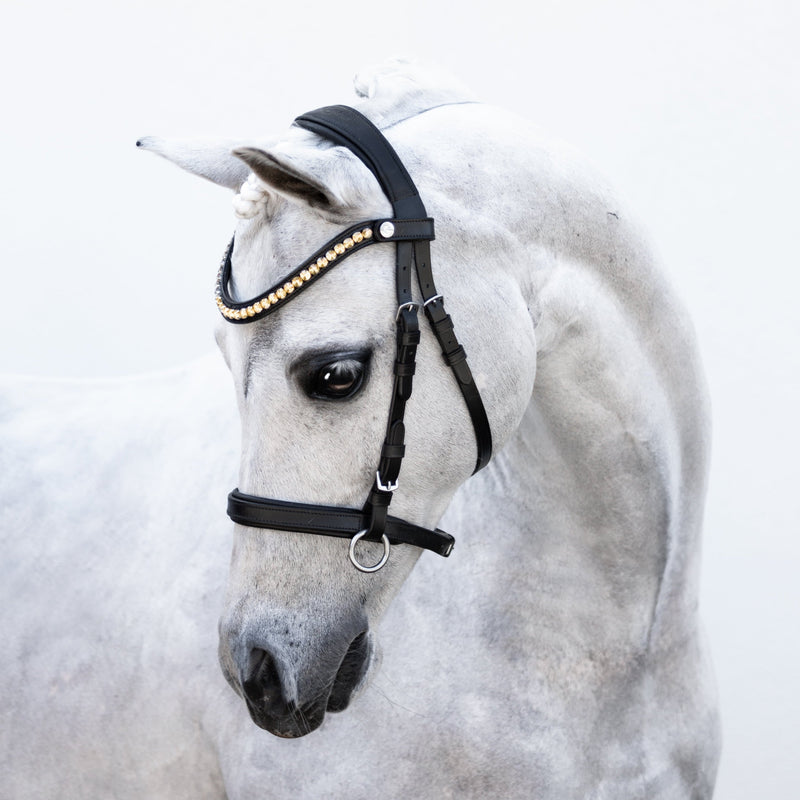 Iddy Biddy Bitless bridle (Lumi Pony)