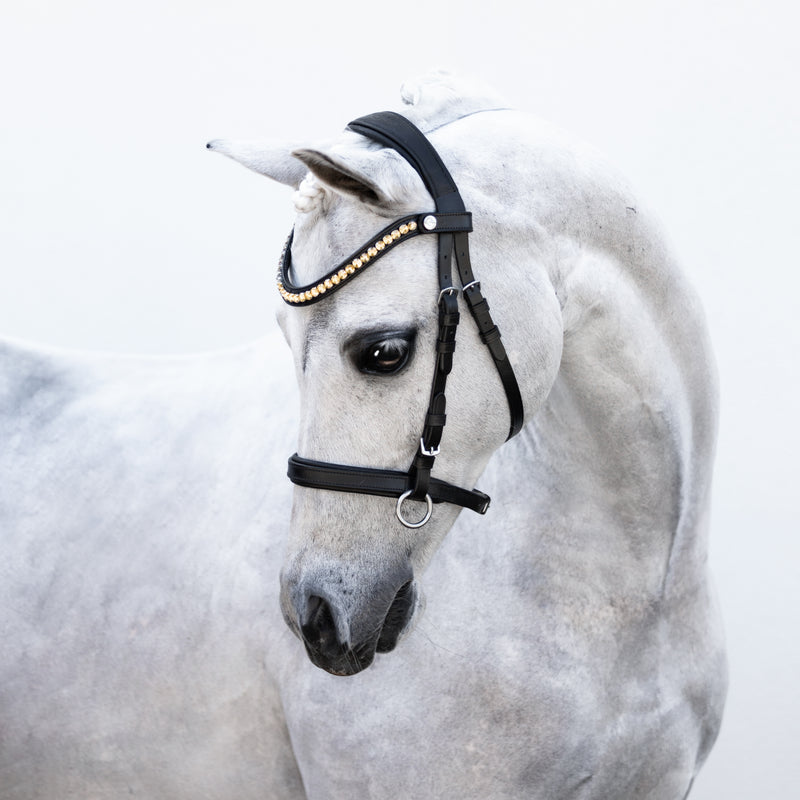 Iddy Biddy Bitless bridle (Lumi Pony)