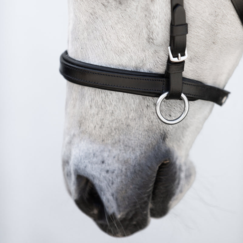 Iddy Biddy Bitless bridle (Lumi Pony)