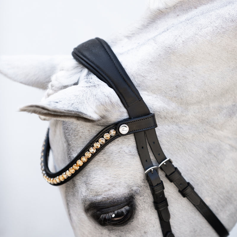 Iddy Biddy Bitless bridle (Lumi Pony)