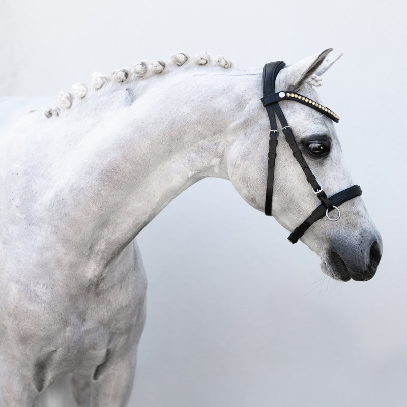 Iddy Biddy Bitless bridle (Lumi Pony)