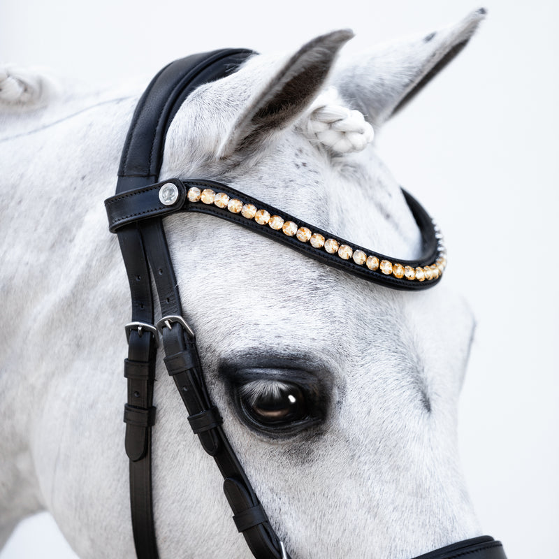 Iddy Biddy Bitless bridle (Lumi Pony)