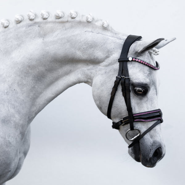 Fairyfloss bridle (Lumi Pony)