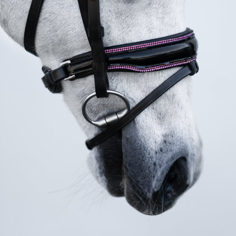 Fairyfloss bridle (Lumi Pony)